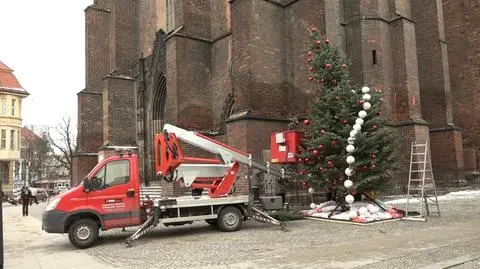 choinka legnica_006