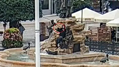 Chciała sobie zrobić zdjęcie, uszkodziła fontannę. Wybryk nastolatki zarejestrowała kamera