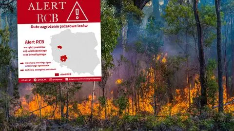 Alert RCB. Duże zagrożenie pożarami w lasach