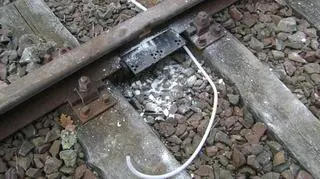 Straty oszacowano na 11 tys