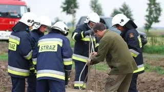 Wyciąganie dzika zajęło strażakom pół godziny
