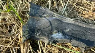 Ekspert o tym, co spadło w Tarnawie-Kolonii