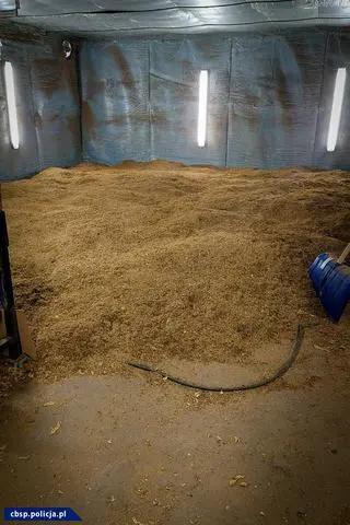 Znaleźli ponad 1200 kilogramów suszu tytoniowego, przeszło 8500 kilogramów krajanki tytoniowej