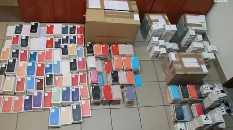 Usłyszał aż 924 zarzuty za handel podróbkami