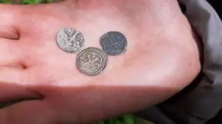 Denary brandenburskie znalezione podczas badań powierzchniowych w Torzymiu