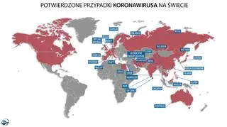 Potwierdzone przypadki koronawirusa na świecie