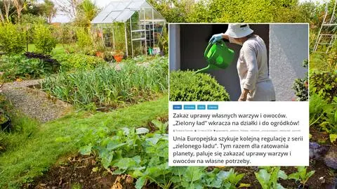 Zielony Ład zakaże uprawy warzyw i owoców na własne potrzeby? KE: "całkowicie bezpodstawne"