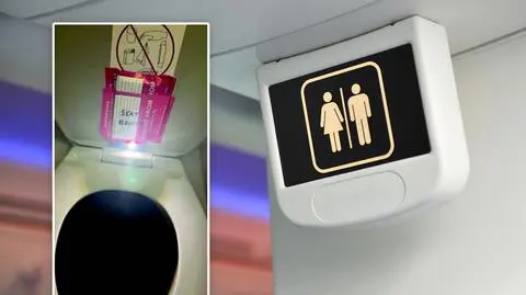 Steward nagrywał dzieci w toalecie. Obwiniono za to 9-latkę
