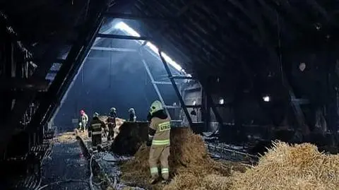 W budynku spłonęło około 40 tys. kurczaków