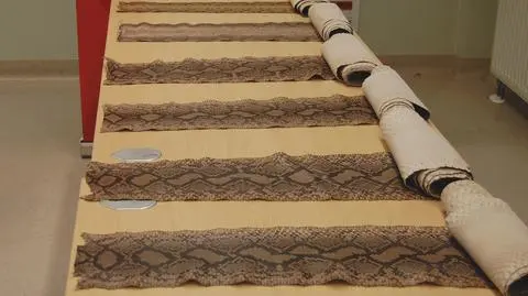 Sześć skór pytona w bagażu, największa miała cztery metry