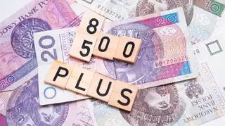 Aktualnie czytasz: 800 plus? "Wymówka, by nie podnosić alimentów"