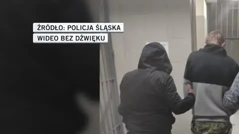 Policja Śląska