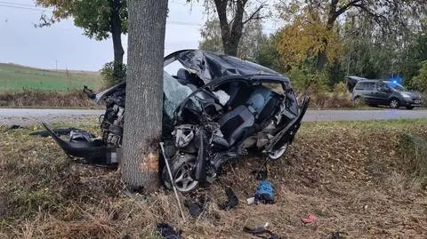 Zjechał z drogi i roztrzaskał się na drzewie. Dwie osoby w szpitalu 