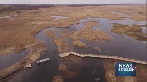 The Narew National Park has new boardwalks installed