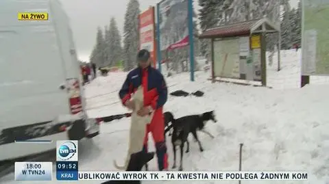 Przygotowania do wyścigu 