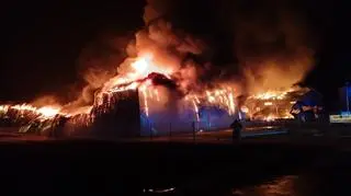 Pożar hal produkcyjnych w Kaninie
