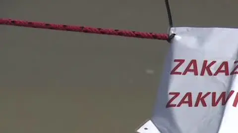 Zakwit sinic na plażach w Sopocie