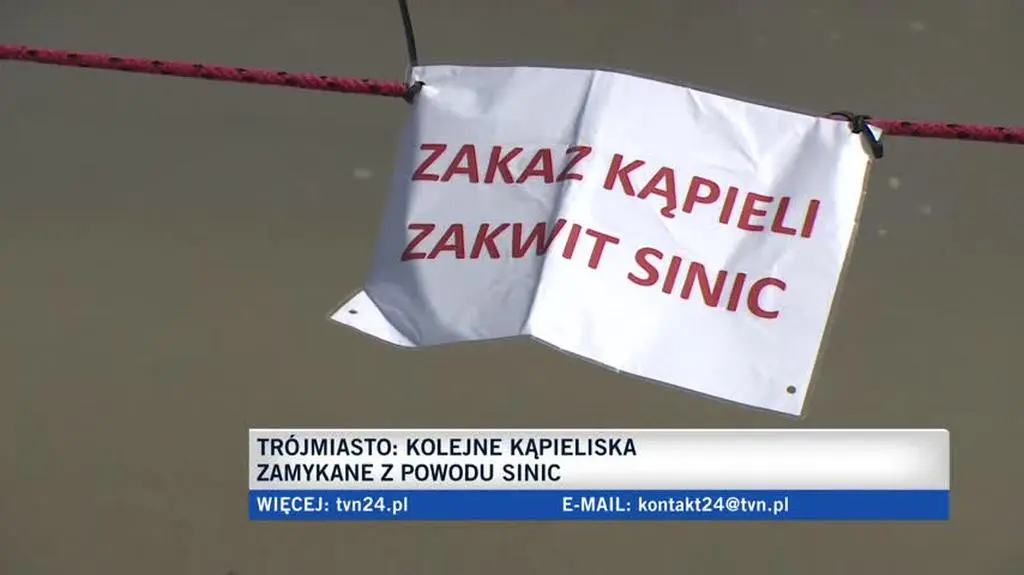 Zakwit sinic na plażach w Sopocie