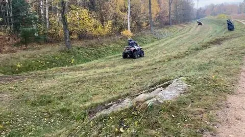 Quady na terenie leśnym w Wieliszewie 