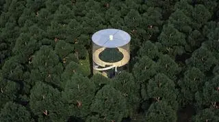 Szklany dom na drzewie