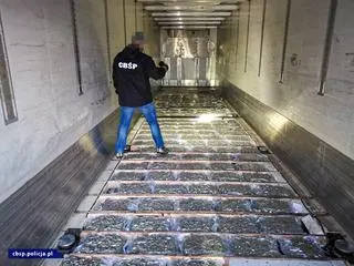 154 kilogramy marihuany ukryte były w podłodze tira