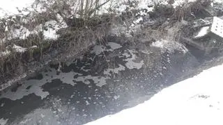 Zanieczyszczenia w Potoku Olszanickim w Krakowie