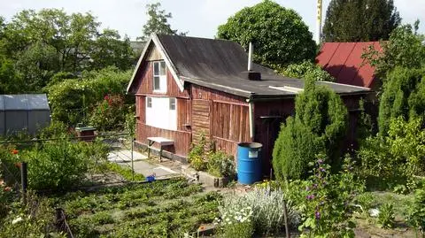 Kwarantanna na działce?