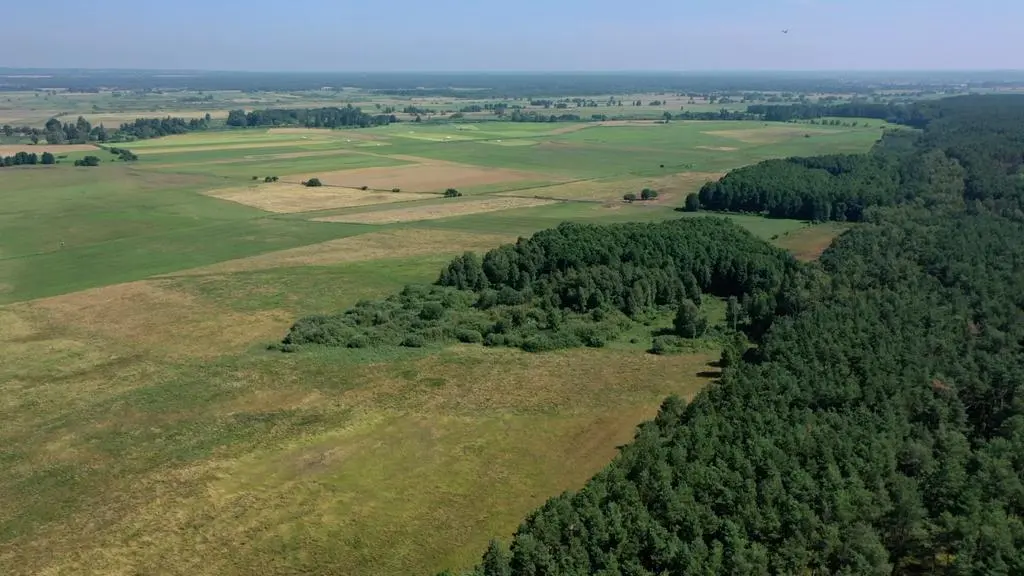 Widok z cmentarzyska w kierunku doliny. 