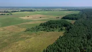 Widok z cmentarzyska w kierunku doliny. 