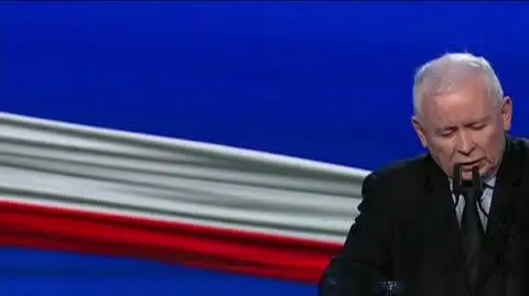 Kaczyński status zawodowego artysty