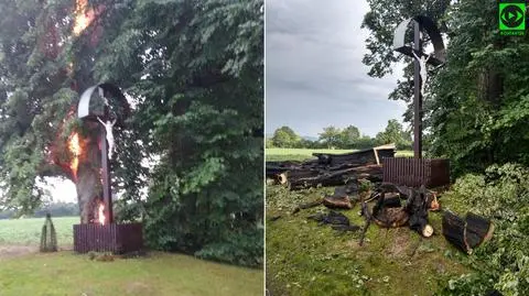 Piorun uderzył w pomnik przyrody