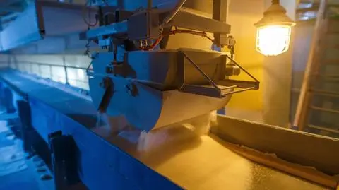 cukier fabryka shutterstock_767001709