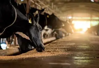 Zwrot w sprawie umowy z Mercosur. Kluczowy wniosek wycofany