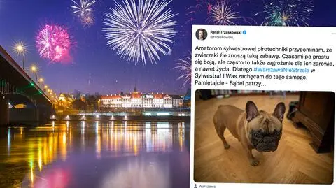 PAŻP zezwala na fajerwerki, miasto namawia do rezygnacji. Trzaskowski: pamiętajcie - Bąbel patrzy