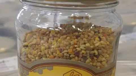 Główny Inspektorat Sanitarny: wycofano z rynku partię produktu Pyłek kwiatowy