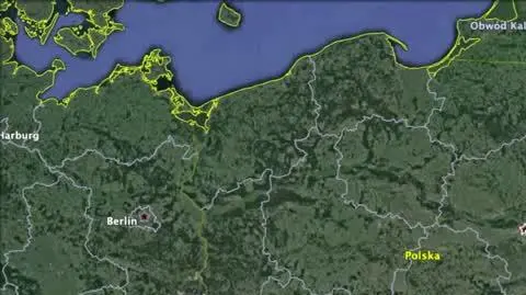 nietoperek