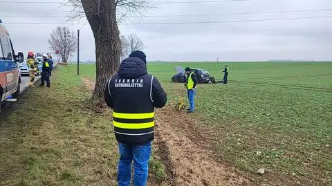 Auto uderzyło w drzewo