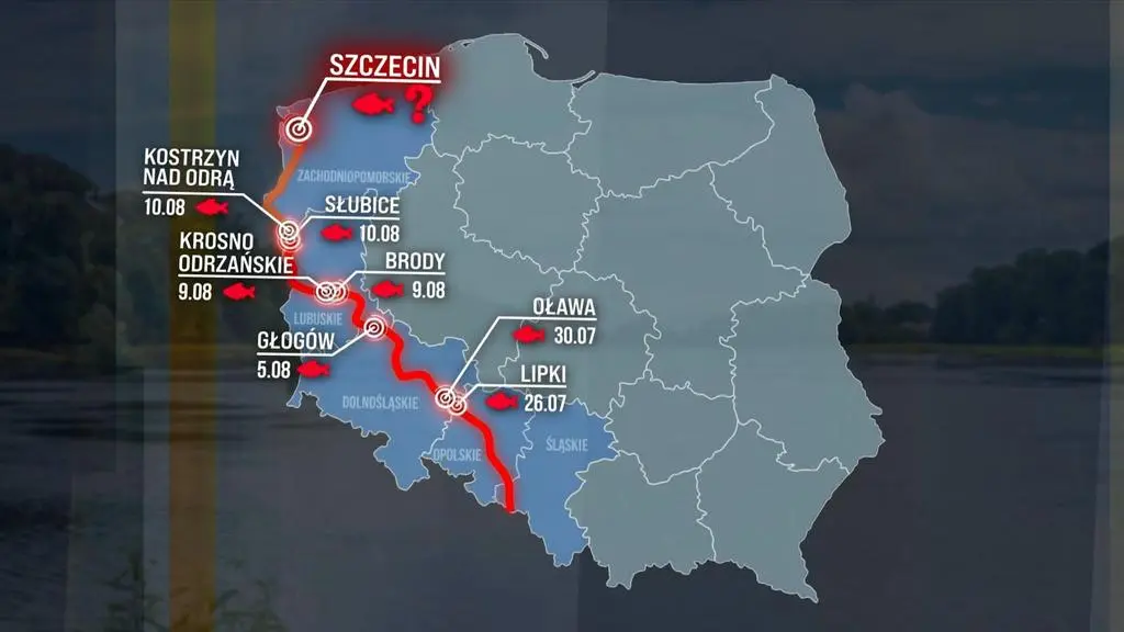 Gdzie i kiedy pojawiły się martwe ryby
