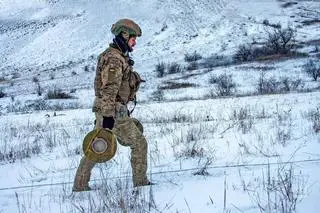 Ukraina, wojsko 