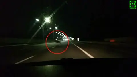 "W pewnym momencie z ciemności wyskoczył jeleń". Niebezpieczna sytuacja na autostradzie