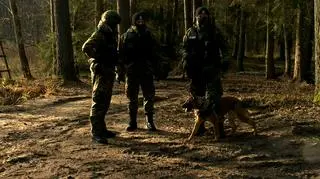 Polish-Belarusian border