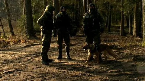 Ekipa TVN24 przy granicy polsko-białoruskiej. Pierwsze zdjęcia od września