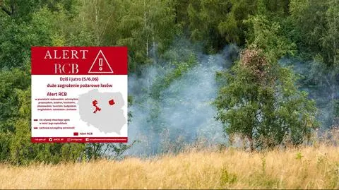 Alert RCB wciąż w mocy. "Zachowaj ostrożność i nie używaj otwartego ognia w lesie" 