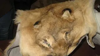 Wakacyjny przemyt pamiątek z podróży