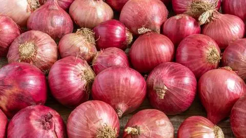 To prawdopodobnie najdroższa cebula na świecie. Kosztuje więcej niż mięso