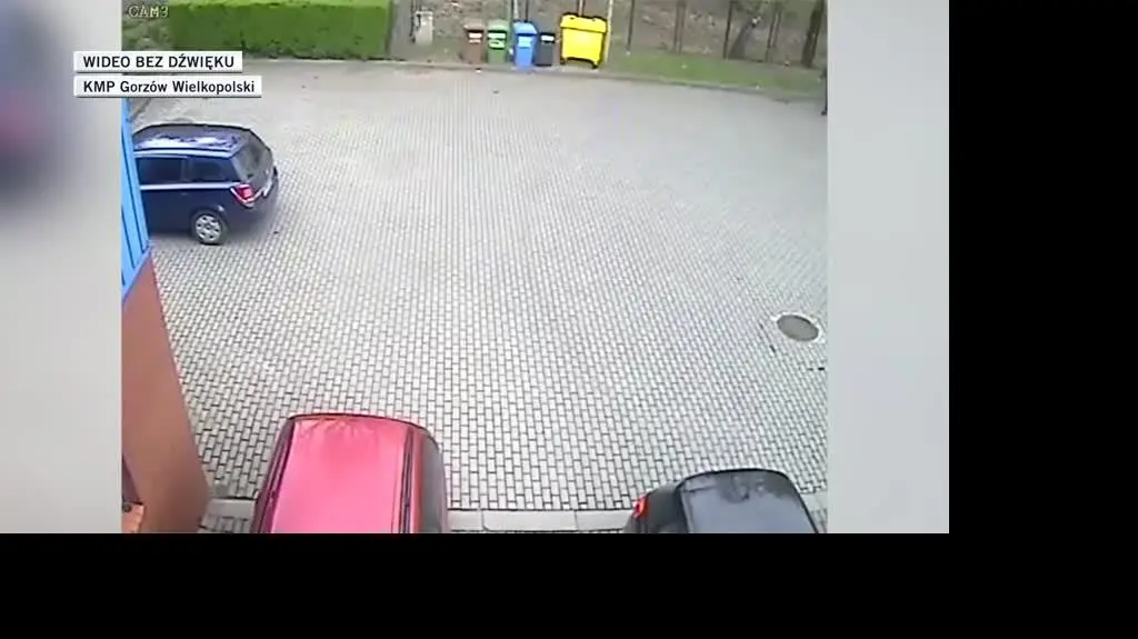 gorzow kradziez dla Oli