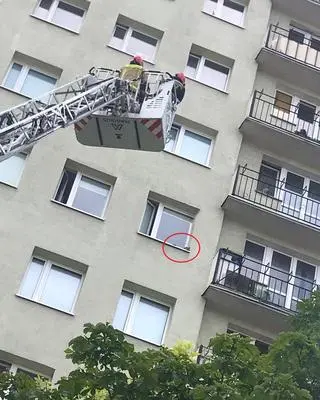 Czworonoga uratowała straż pożarna 