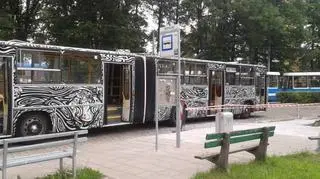 MPK zorganizowało konkurs. Polowanie na Ikarusa, nową maskotkę miejskiego przedsiębiorstwa komunikacyjnego
