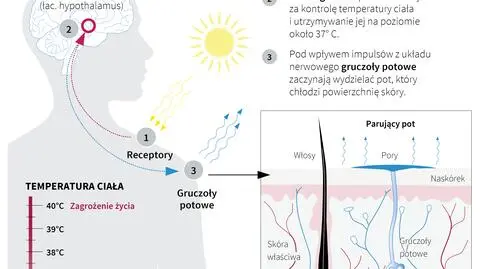 Przyszły upały, temperatura może być groźna dla zdrowia. O czym pamiętać