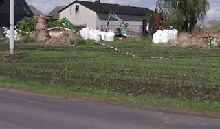 W gospodarstwie znaleziono martwe krowy